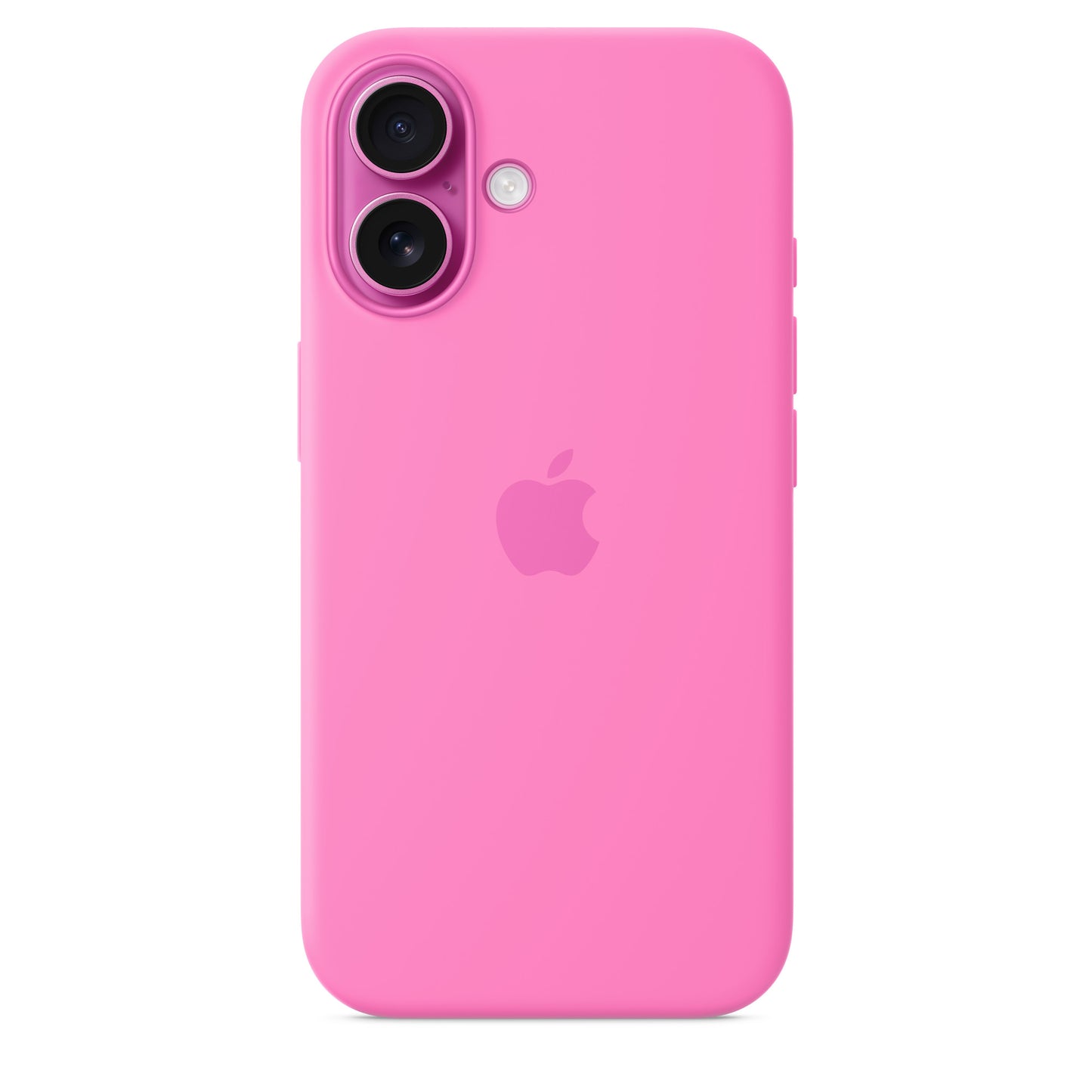 16 Rosado
